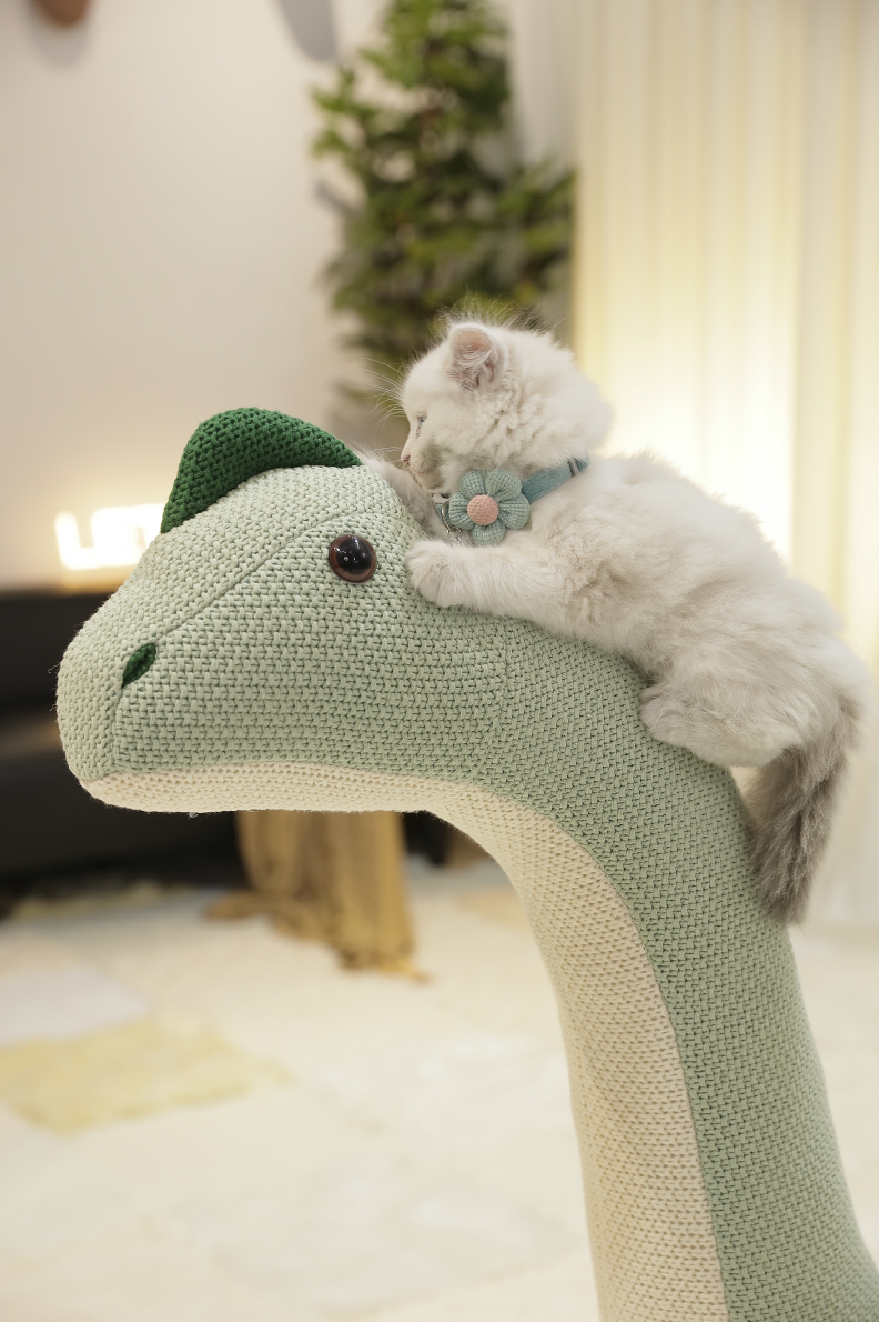 1.1 m Brachiosaurus pet friendly furniture